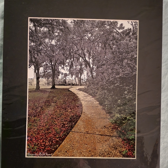 Golden Pathway - Picture 2 of 5